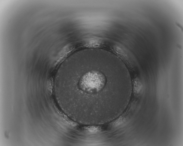 X0000100220370200806201513