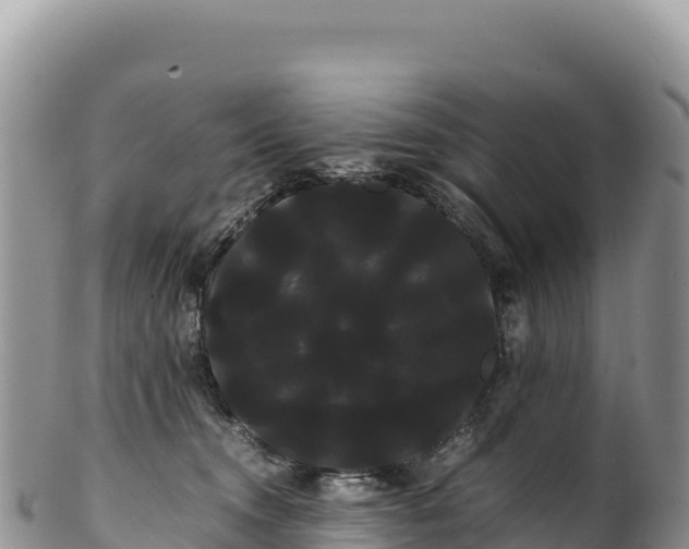 X0000100220372200806201513