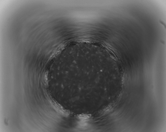 X0000100220373200806201513