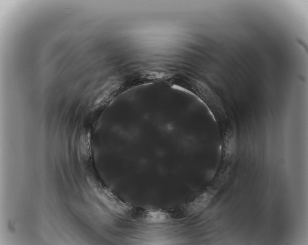 X0000100220376200806201514