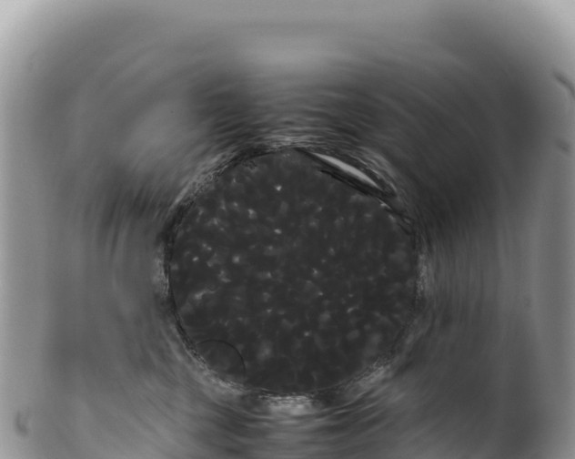 X0000100220377200806201514