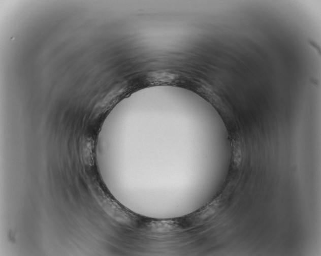 X0000100220378200806201514