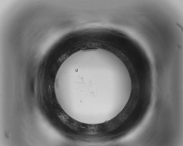 X0000100220382200806201514