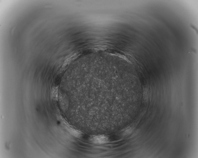 X0000100220383200806201514