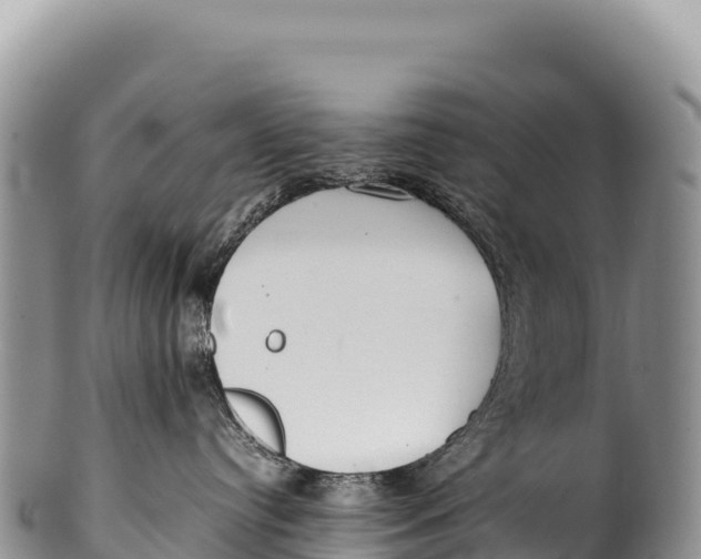 X0000100220384200806201514