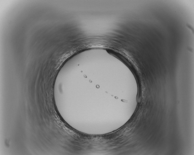 X0000100220385200806201513