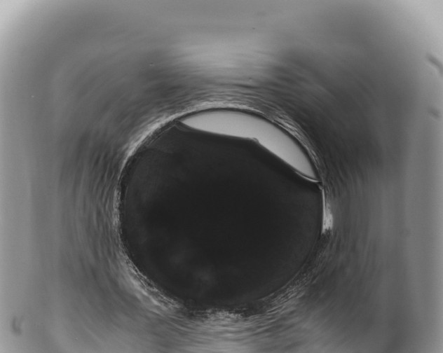 X0000100220387200806201513