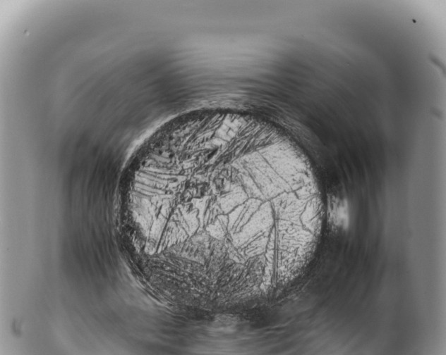 X0000100220388200806201513