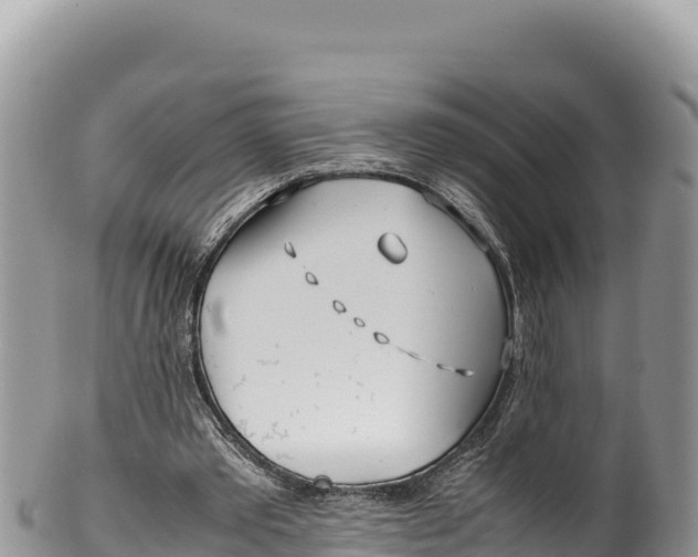 X0000100220389200806201513