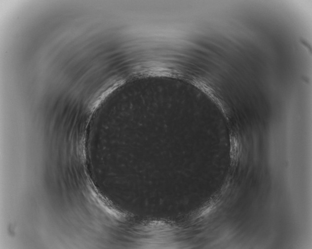 X0000100220390200806201513