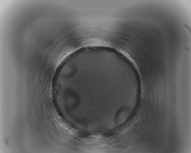 X0000100220391200806201513