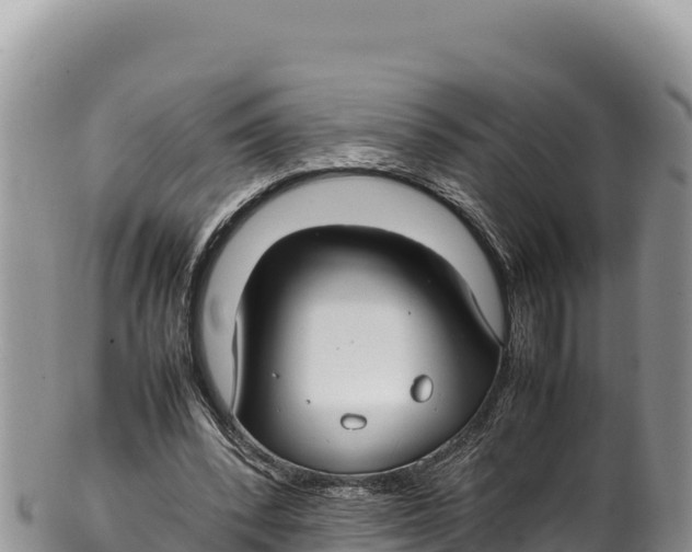 X0000100220392200806201513