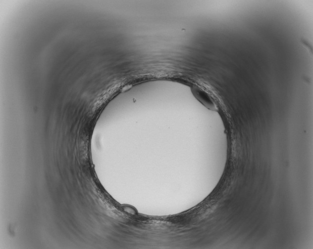 X0000100220393200806201513