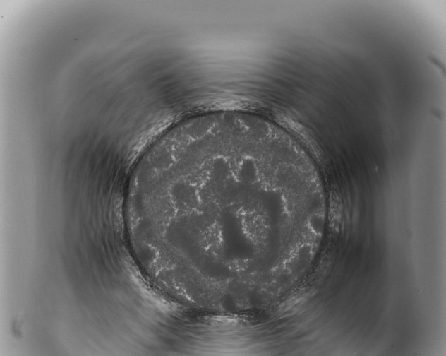 X0000100220394200806201513