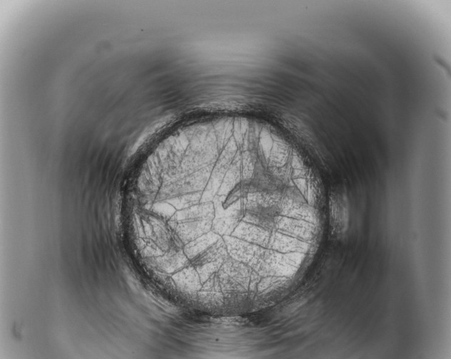 X0000100220396200806201513