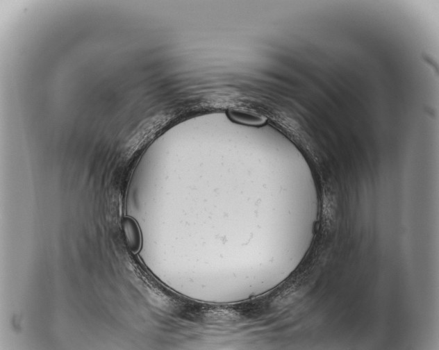 X0000100220397200806201513