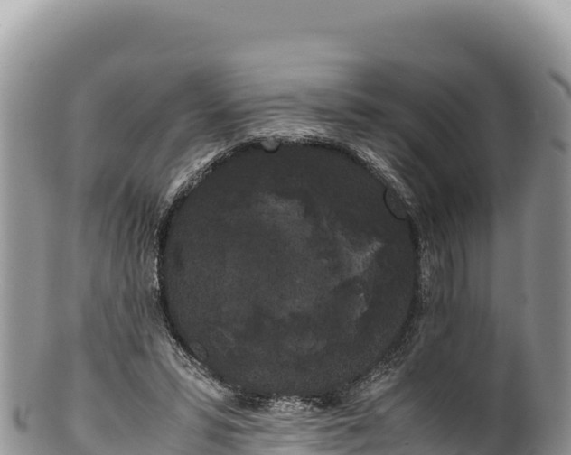 X0000100220399200806201513