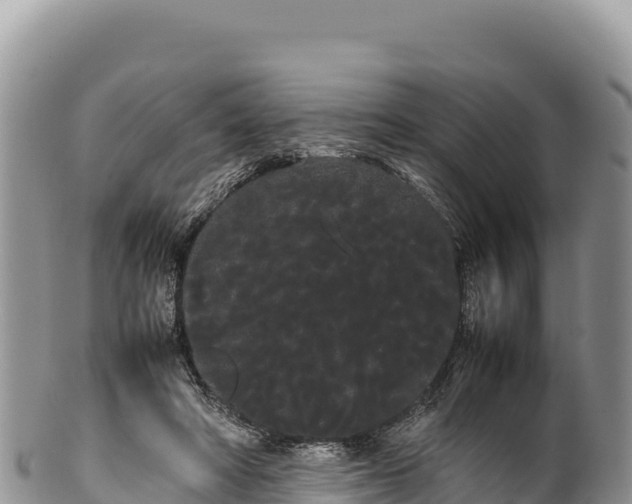 X0000100220402200806201513