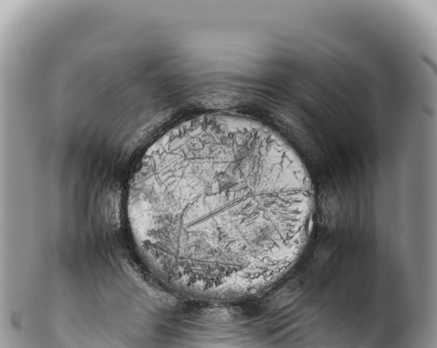 X0000100220404200806201513