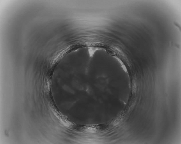 X0000100220405200806201513