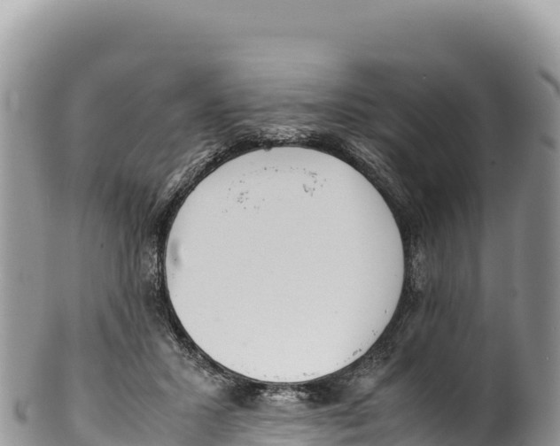 X0000100220407200806201513