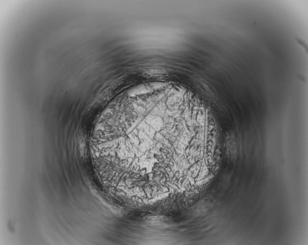 X0000100220408200806201513