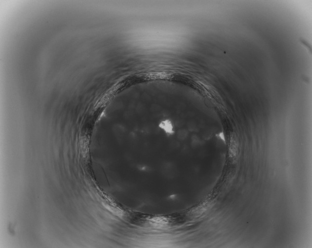 X0000100220409200806201513