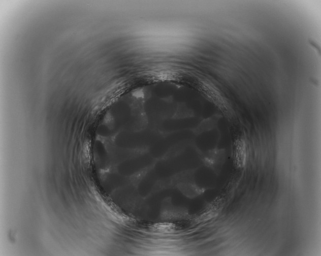 X0000100220410200806201513