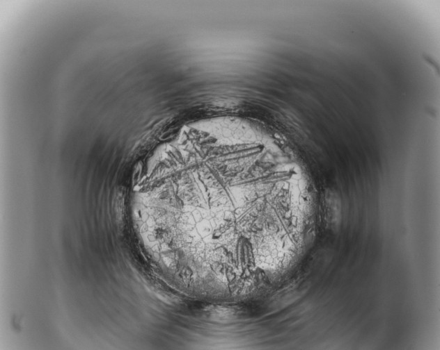 X0000100220412200806201512