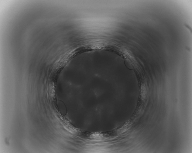 X0000100220413200806201512