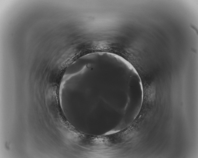 X0000100220415200806201512