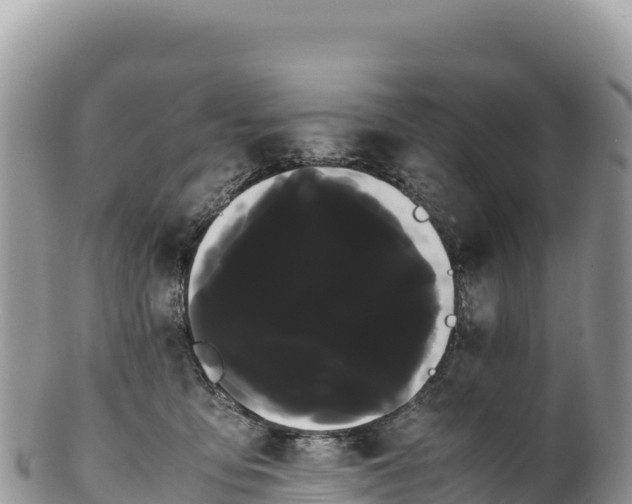 X0000100220419200806201512