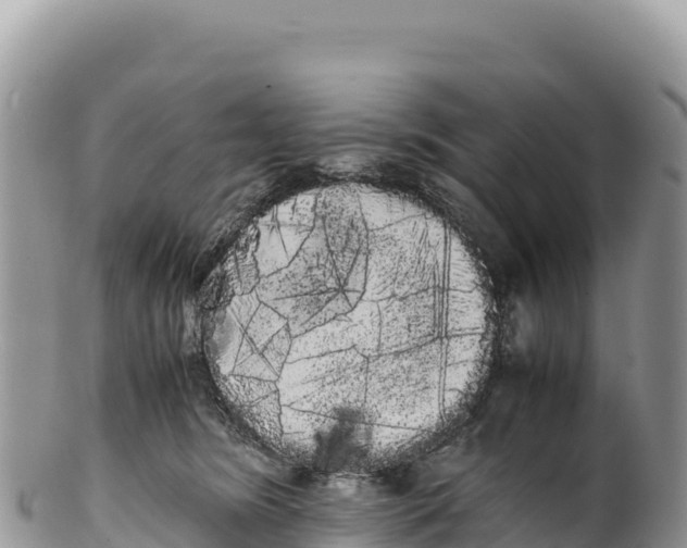 X0000100220420200806201512