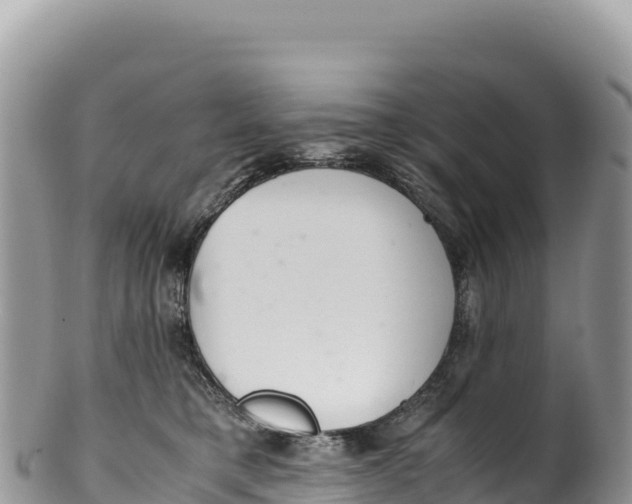 X0000100220421200806201512