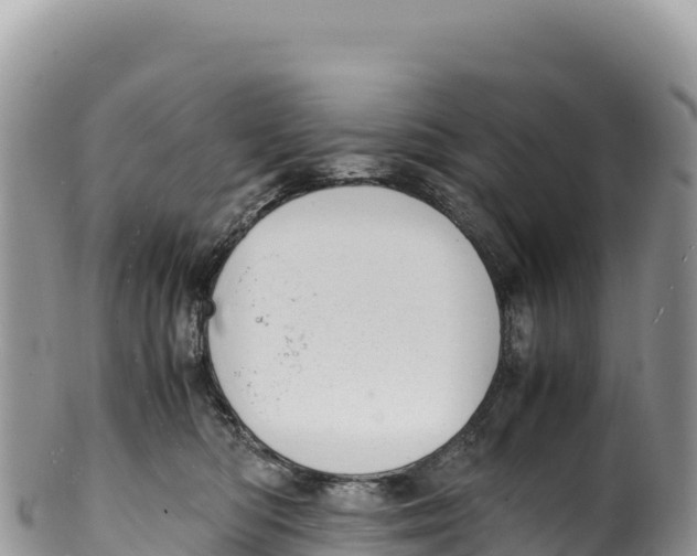 X0000100220422200806201512