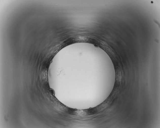 X0000100220425200806201512