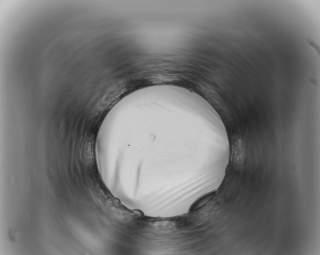 X0000100220426200806201512