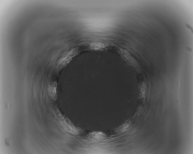 X0000100220427200806201512