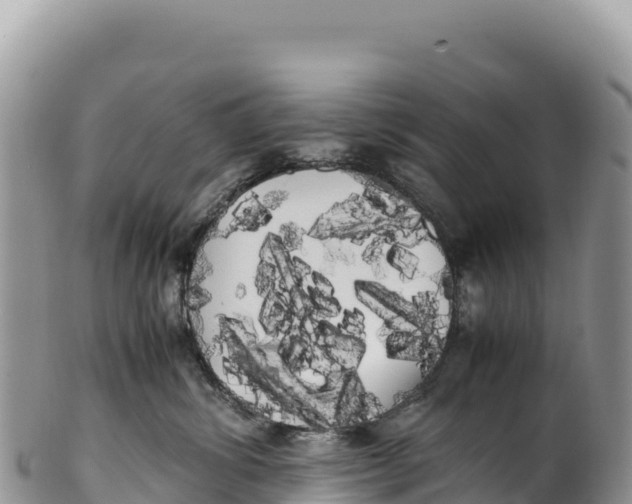 X0000100220428200806201512