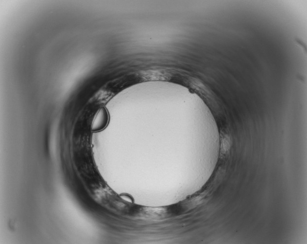 X0000100220429200806201512