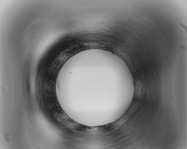 X0000100220430200806201512