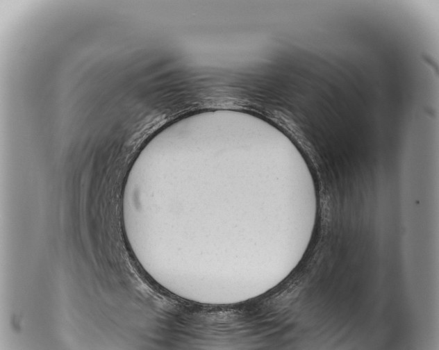 X0000100220433200806201511