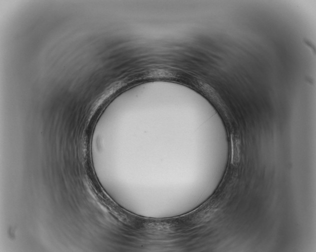 X0000100220435200806201511