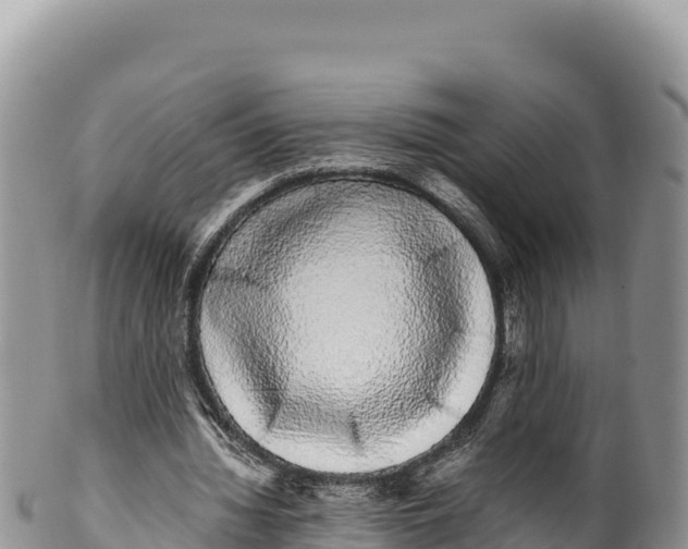 X0000100220436200806201511