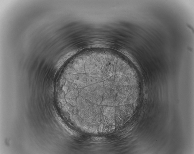 X0000100220437200806201511