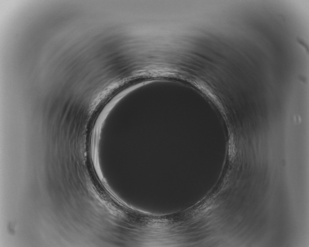 X0000100220438200806201511