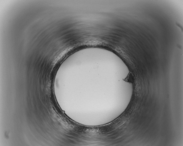 X0000100220440200806201511