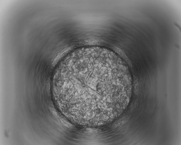 X0000100220442200806201511