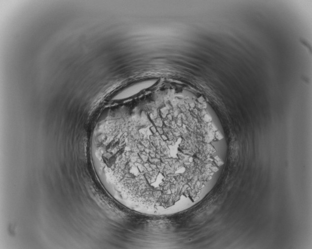 X0000100220446200806201512