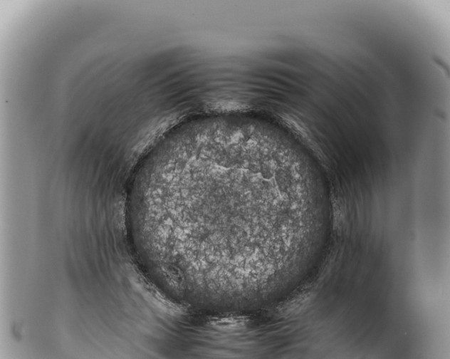 X0000100220447200806201512